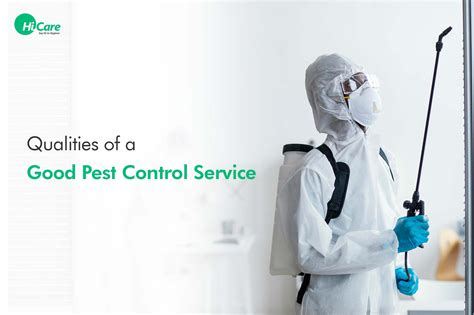 best pest control companies|most reliable pest control services.